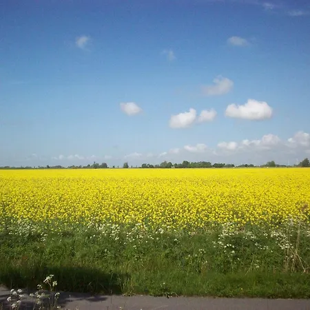 Fraeulein Emma Lotta